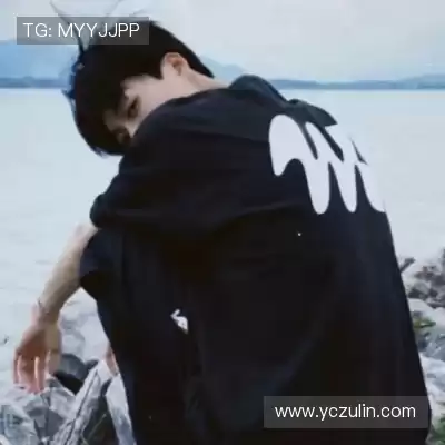 舒舜飚